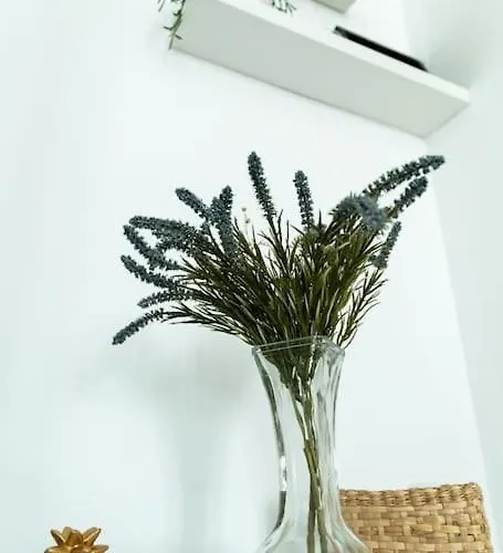 شقة Libertad By Gades Gestion *