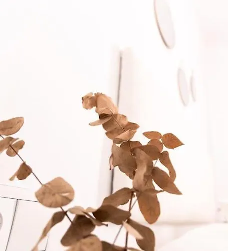 Апартаменти Libertad By Gades Gestion *